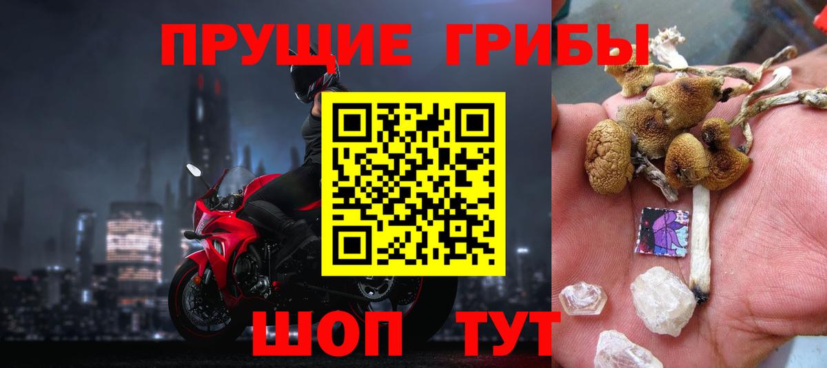 Псилоцибиновые грибы MAGIC MUSHROOMS  Вход с VPN  где купить   Галлюциногенные грибы MAGIC MUSHROOMS  Свободный 